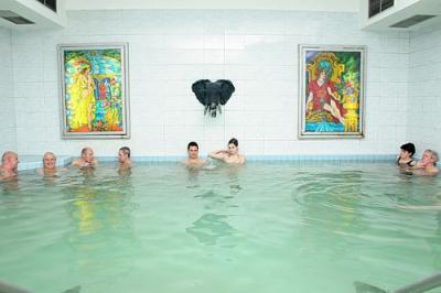 Termal Hotel Liget in Erd - spa therapies - wellness treatments - Thermal Hotel Liget Erd - cheap thermal hotel in Erd