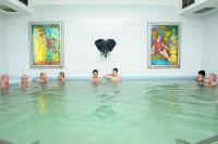 Thermal Hotell Liget - spa behandlingar - Erd