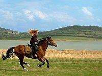Hotel Azur Siofok - paardrijden
