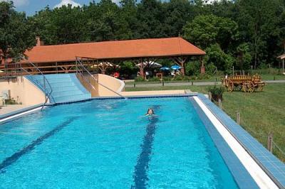 Piscine extérieure à l'Hôtel Zichy Park - Hongrie - ✔️ Zichy Park Hotel**** Bikács - offre spéciale à Bikacs en Hongrie