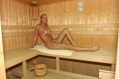 Sauna à l'Hôtel Zichy Park - offres bien-être last minute en Hongrie - ✔️ Zichy Park Hotel**** Bikács - offre spéciale à Bikacs en Hongrie