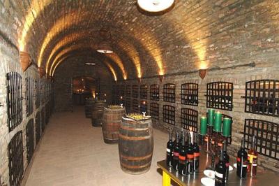 Cave de vin à l'Hôtel Zichy Park - Bikacs - Hongrie  - ✔️ Zichy Park Hotel**** Bikács - offre spéciale à Bikacs en Hongrie