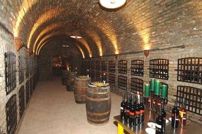 Wine cellar in Hotel Zichy Park in Bikacs Hungary - ✔️ Zichy Park Hotel**** Bikács - special wellness offers in Bikacs, Hungary